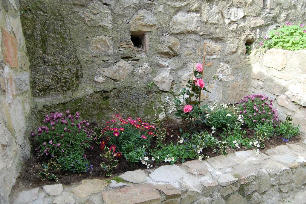 Emily House Hotel Montecerboli Екстериор снимка